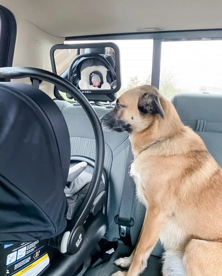 Baby visible in Leo&Ella car mirror